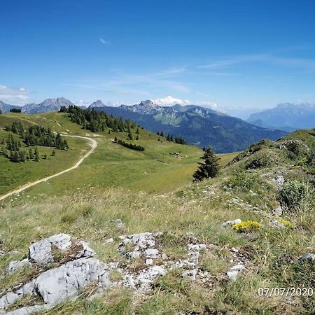 Appartement Montagne La Vallee Verte Coeur Station Hirmentaz Bellevaux Kültér fotó