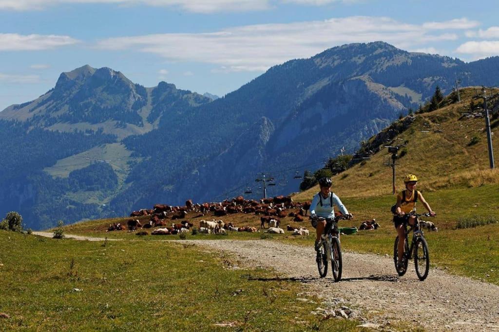 Appartement Montagne La Vallee Verte Coeur Station Hirmentaz Bellevaux Kültér fotó