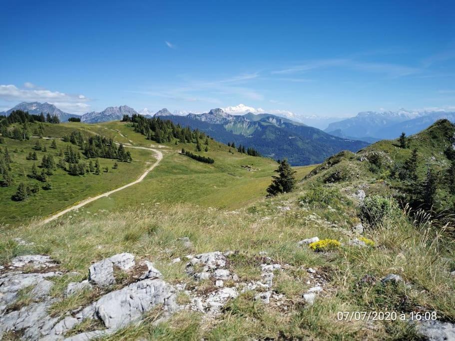 Appartement Montagne La Vallee Verte Coeur Station Hirmentaz Bellevaux Kültér fotó